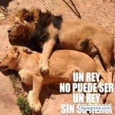Foto de perfil de Contrerasvillagra