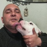 Adyhuci chico soltero en La Puebla De Montalban