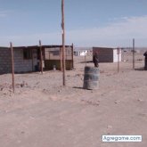 juliovel59 chico separado en Miraflores