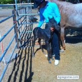 Chatear con g82perez de Seaside