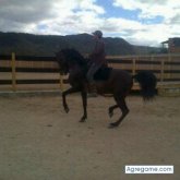 luisrodriguezjr chico soltero en Houston