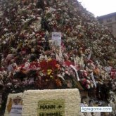 alexjemes chico soltero en 