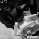 SANGREAZTEKA foto #66