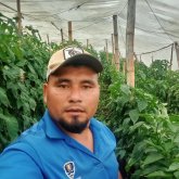 ramirezramirez9514