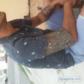 Chatear con miguelxxc de Mineral De La Reforma