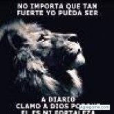 Jose Garcia