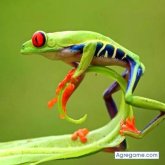 jairoandres8414 chico soltero en Bucaramanga