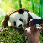 Orangel20_23 foto #11