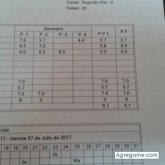 Okami chico soltero en Los Cerrillos