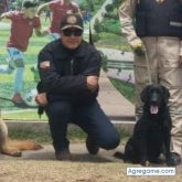 giacomocasanova6447 chico soltero en Charapotó