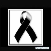 Chatear con carlosromero3541 de Córdoba Veracruz De Ignacio La Llave