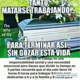 Toteto