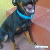 B3ESOS foto #22