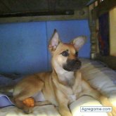 none chico soltero en Puerto Del Carmen