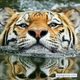 Foto de perfil de Kukusku