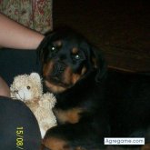 camii chica casada en Virreyes