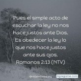 andresmambuca8000 foto #22