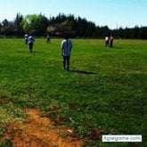 Encuentra Hombres Solteros en San Carlos