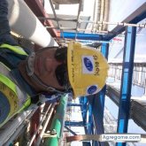 Perrostil chico soltero en Cativa