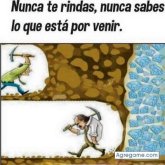 Pericles1 chico soltero en Carolina San Miguel