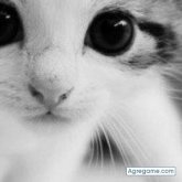 Chatear con quiroz2133 de Camaná