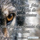 mauriciogonzalez2148 chico soltero en Pénjamo