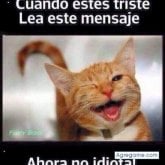 Foto de perfil de Farachor