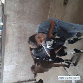 OmerM chico soltero en Maturín