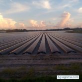 jorge281168 chico soltero en Boulder