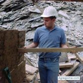 Rodobendro chico soltero en Culiacán