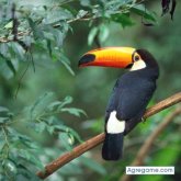 Chatear con gastonalejandro de Campana