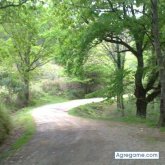 Suan chico soltero en Burgos