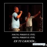 lizardinis chico soltero en Lomas De Sargentillo