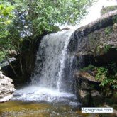 jazar3871 foto #10