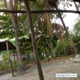 Foto de perfil de Rz322