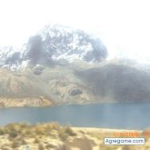 kenyi chico soltero en El Fiscal Palencia