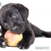 Chatear con juancruz7618 de Rosario