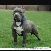 Chatear con diegosales de San Martín