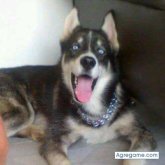 Chatear con joxemanuell de Alto De Los Patios