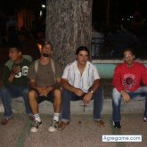 willfish foto #10