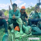 Davis96 chico soltero en Atalaya