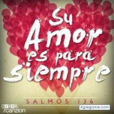 andresmambuca8000 foto #7