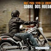 Rino242 chico soltero en Tláhuac