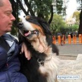 Encuentra Hombres solteros en La Tigra
