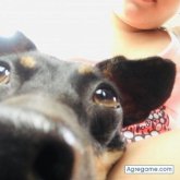 Tafita777 chico divorciado en Cartago