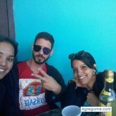 Bichiton chico soltero en Tampa