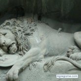 Chatear con Dukeman de Suiza