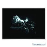 andresmambuca8000 foto #41