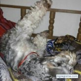 Chatear con juanmartinez5922 de Delicias