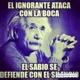 Foto de perfil de nicolayserrano